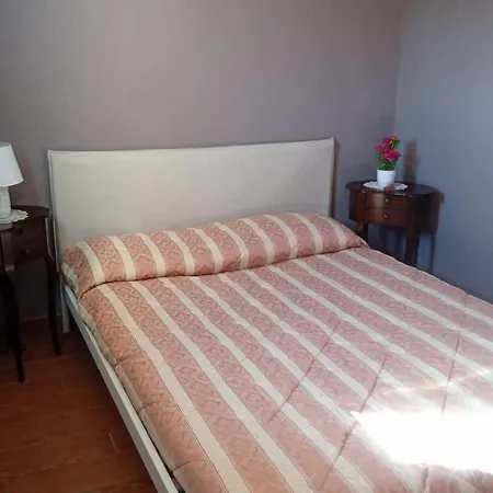 公寓 Turistico Splendente 罗马